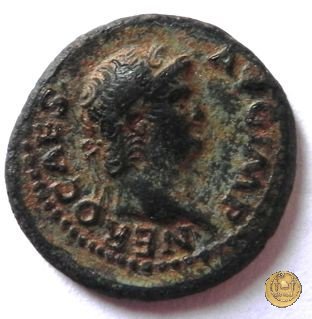 CLM525 64 AD (Roma)