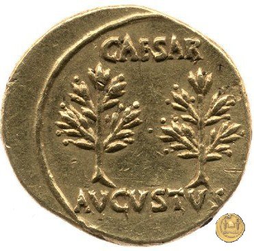 CLM10 20-19 BC (Colonia Patricia?)