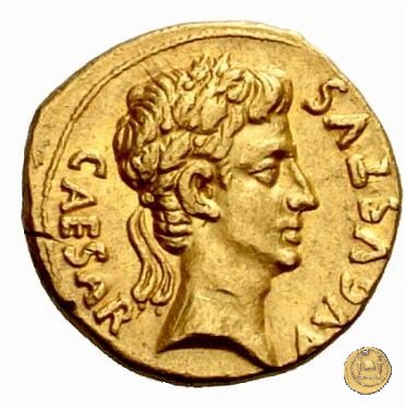 CLM115 19 BC (Roma)