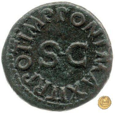 CLM116 41-43 AD (Roma)