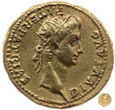 CLM11 40 AD (Roma)