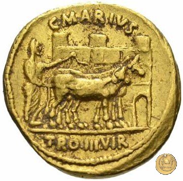 CLM121 13 BC (Roma)