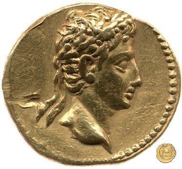 CLM12 20-19 BC (Colonia Patricia?)