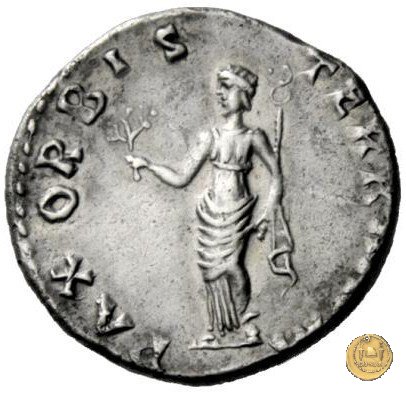 CLM13 69 AD (Roma)