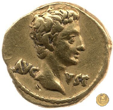 CLM141 18-16 BC (Colonia Patricia?)