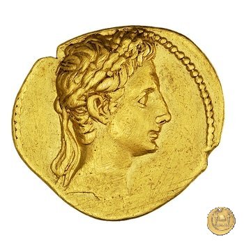 CLM14 20-19 BC (Colonia Patricia?)