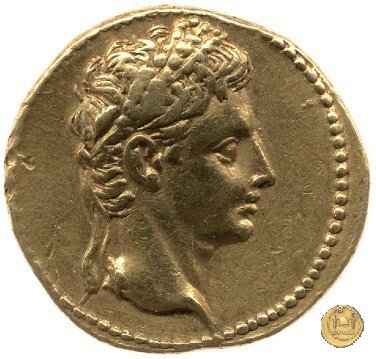 CLM14 20-19 BC (Colonia Patricia?)