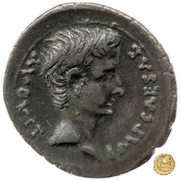 CLM154 25-23 BC (Emerita)