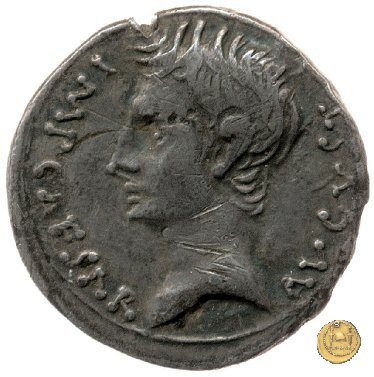 CLM155 25-23 BC (Emerita)