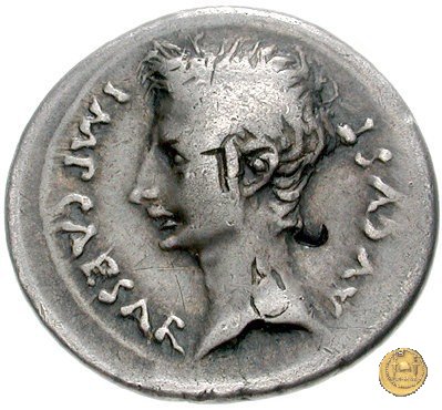 CLM155 25-23 BC (Emerita)