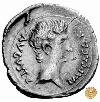 CLM156 25-23 BC (Emerita)