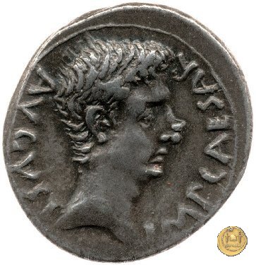 CLM157 25-23 BC (Emerita)