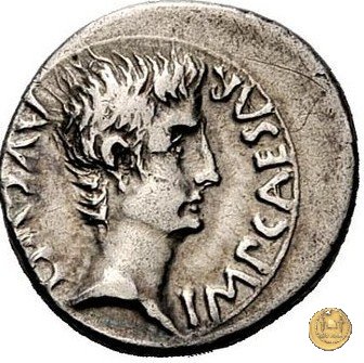 CLM157 25-23 BC (Emerita)