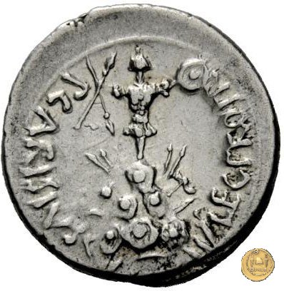 CLM157 25-23 BC (Emerita)