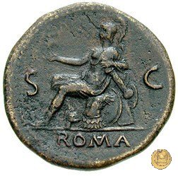 CLM157 65 AD (Roma)