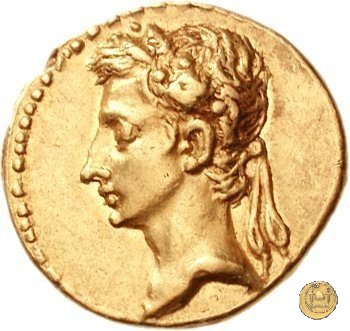 CLM15 20-19 BC (Colonia Patricia?)