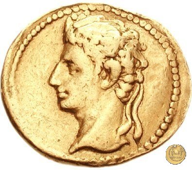 CLM15 20-19 BC (Colonia Patricia?)