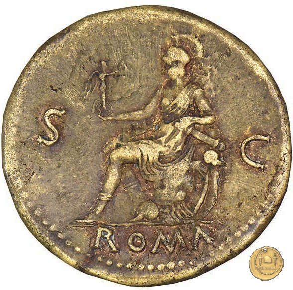 CLM160 65 AD (Roma)