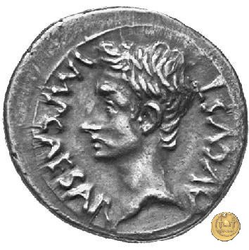 CLM163 25-23 BC (Emerita)