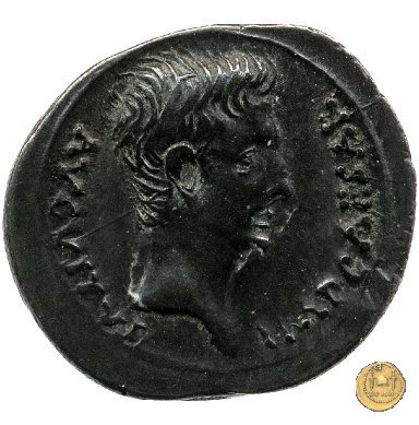 CLM164 25-23 BC (Emerita)