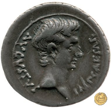 CLM164 25-23 BC (Emerita)