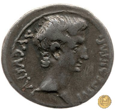 CLM167 25-23 BC (Emerita)