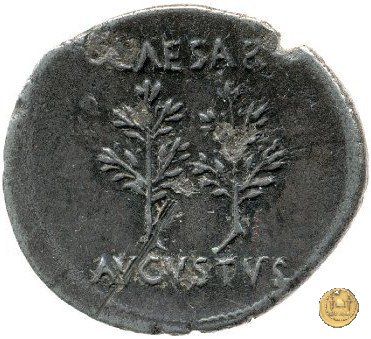 CLM169 19-18 BC (Colonia Caesaraugusta?)