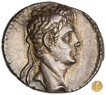 CLM172 19-18 BC (Colonia Caesaraugusta?)