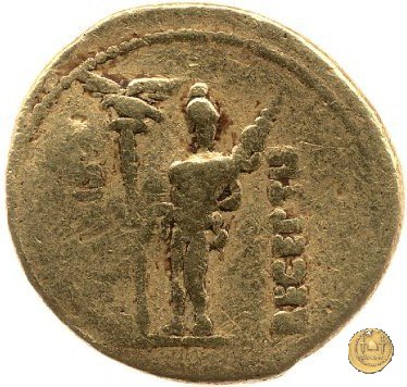 CLM18 19 BC (Colonia Patricia?)