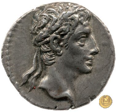 CLM195 20-19 BC (Colonia Patricia?)