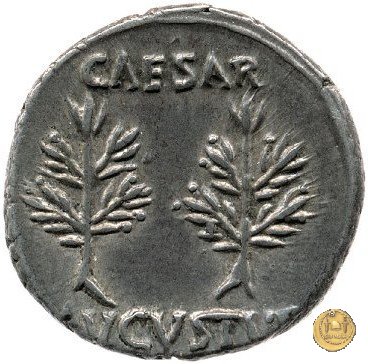 CLM195 20-19 BC (Colonia Patricia?)