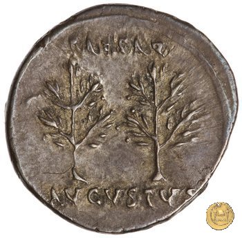 CLM195 20-19 BC (Colonia Patricia?)