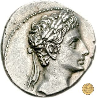 CLM196 20-19 BC (Colonia Patricia?)