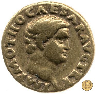 CLM1 69 AD (Roma)