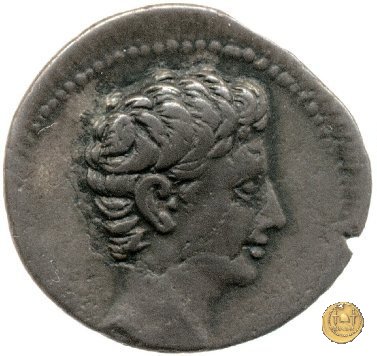 CLM202 20-19 BC (Colonia Patricia?)