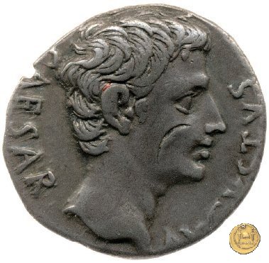 CLM207 19 BC (Colonia Patricia?)