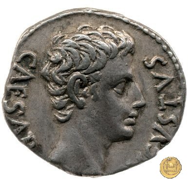 CLM208 19 BC (Colonia Patricia?)