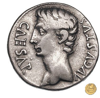 CLM219 19 BC (Colonia Caesaraugusta?)