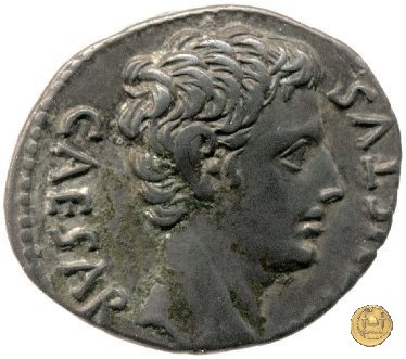 CLM228 19 BC (Colonia Patricia?)