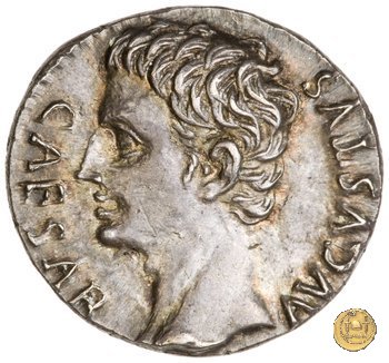 CLM231 19 BC (Colonia Patricia?)