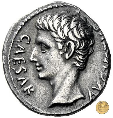 CLM233 19 BC (Colonia Patricia?)