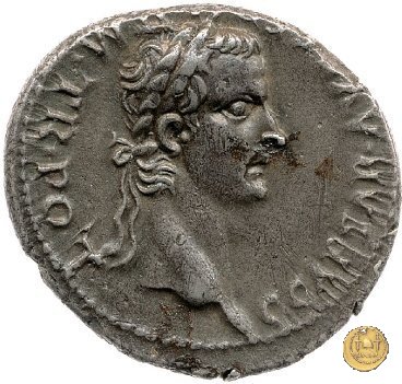 CLM23 37-38 AD (Roma)