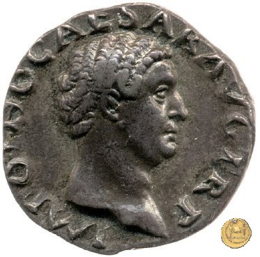 CLM23 69 AD (Roma)