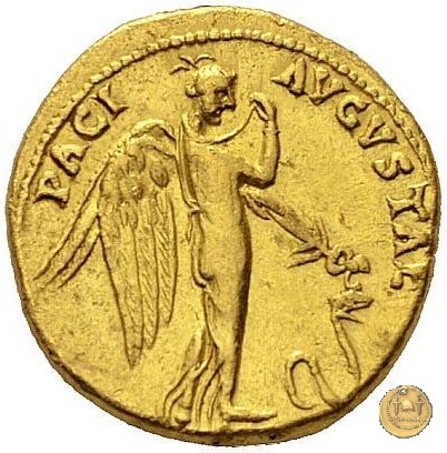 CLM24 49-50 AD (Roma)