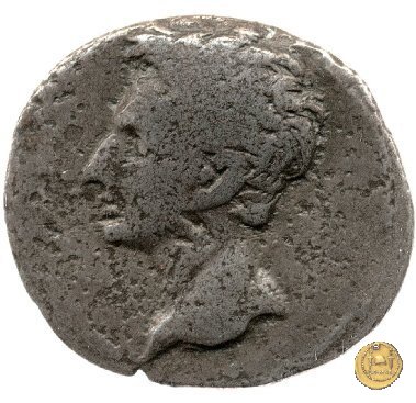 CLM264 18-16 BC (Colonia Patricia?)