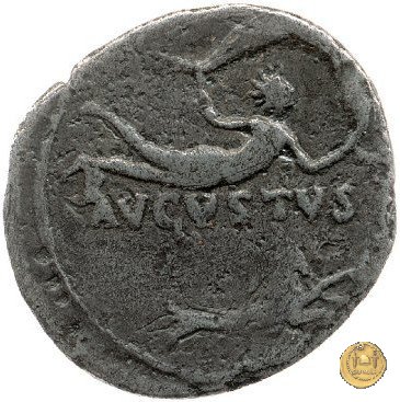 CLM264 18-16 BC (Colonia Patricia?)