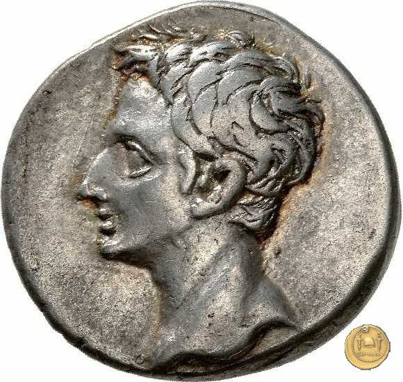 CLM264 18-16 BC (Colonia Patricia?)