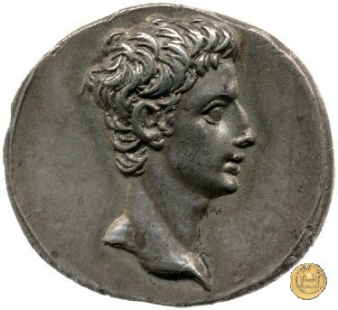 CLM265 18-16 BC (Colonia Patricia?)