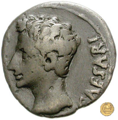 CLM274 18-16 BC (Colonia Patricia?)