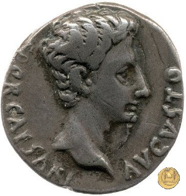 CLM275 18-16 BC (Colonia Patricia?)